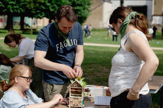 Insect house team building summer event 2024